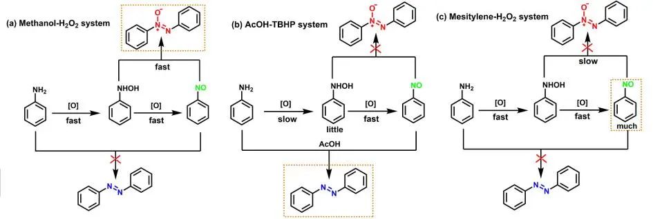 兰大马建泰Angew.：Zr(OH)4催化苯胺可控选择性氧化生成偶氮苯、偶氮苯和亚硝基苯