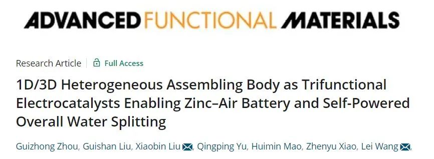 王磊/刘晓斌AFM：1D/3D三功能催化剂用于锌-空气电池和自供电全分解水