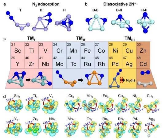 骆智训ACS Catalysis：利用理论计算系统研究三原子金属簇对N2的吸附和解离行为