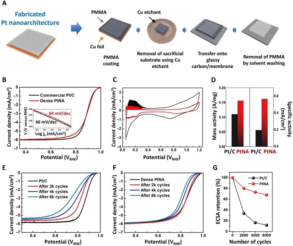 Science Advances：结构调制的3D电催化剂用于高性能燃料电池电极