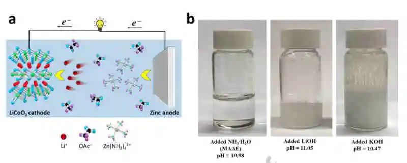 EnSM：弱碱性高压水基Zn/LiCoO2混合电池