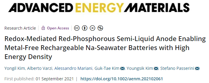 大牛Stefano Passerini教授AEM：用于高能无金属可充电钠海水电池的氧化还原介导红磷半液态负极