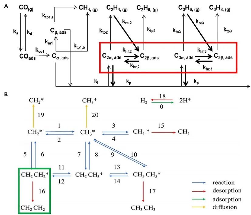 北大/煤化所/DESY等Chem综述：基于FTS合成气直接转化为不饱和烃的研究进展