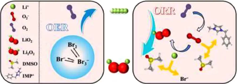 陈人杰/陈楠EnSM: 溴化咪唑作为可充电锂氧电池的三功能添加剂