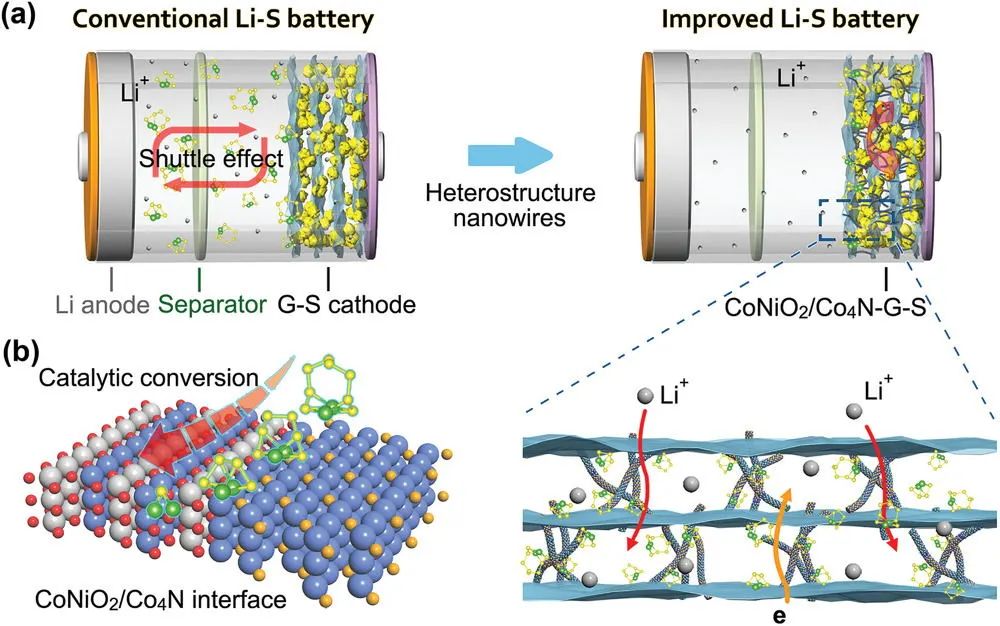 洪果/姚亚刚Adv. Sci.: CoNiO2/Co4N异质纳米线增强锂硫电池性能