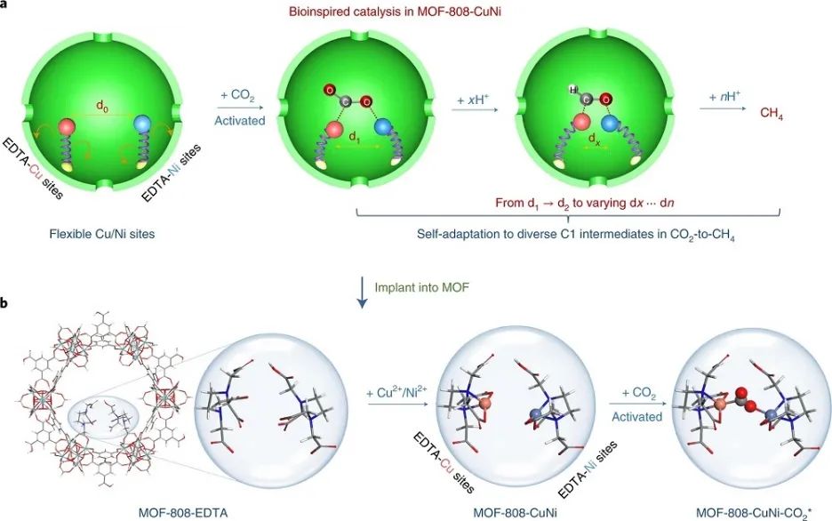 Nature Catalysis：首次报道！MOF基自适应DMSPs光催化CO2为CH4