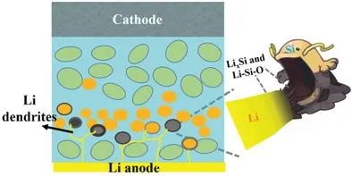 林应斌/洪振生Adv. Sci.: Si纳米颗粒锂化吞噬全固态电池中的锂枝晶