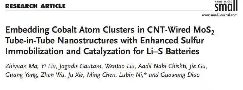 扬大倪鲁彬Small：碳纳米管MoS2包埋钴原子团簇对锂硫电池的固硫催化作用