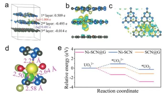 海南大学王宁/罗强AFM：Ni单原子协同异质结构，提高Ni-SCN@G光催化铀酰还原活性