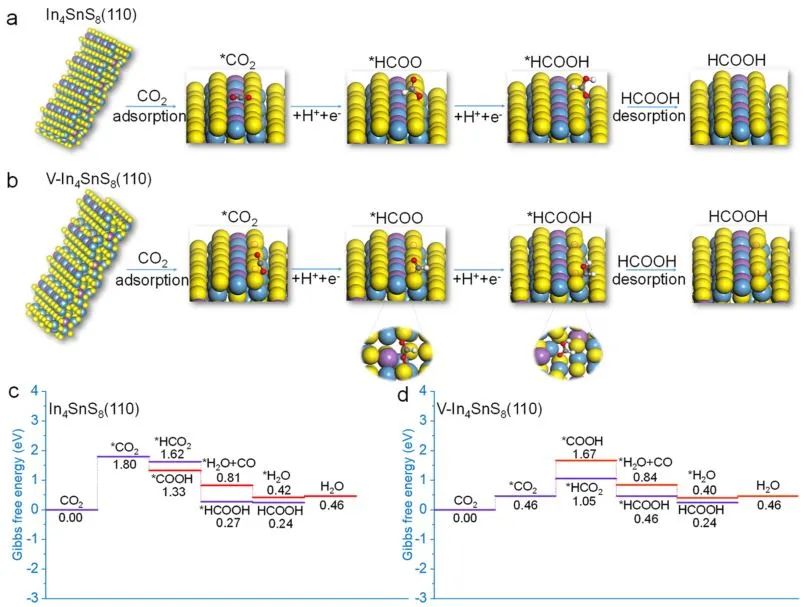 ​福大ACS Catalysis：In4SnS8纳米花的S缺陷促进CO2选择性转化为HCOOH