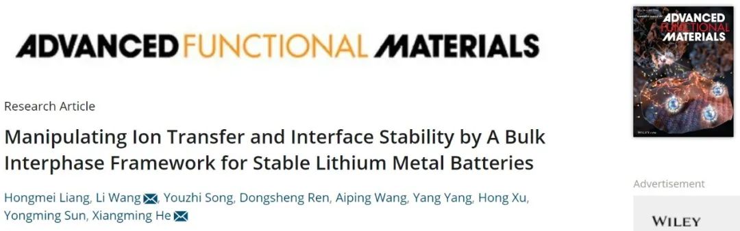 何向明/王莉AFM：通过操纵离子传输和界面稳定性实现稳定的锂金属电池