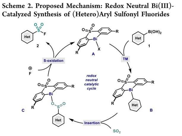 JACS：金属铋（Bi）解锁新玩法-揭示有机金属催化合成芳基氟磺酰化物的基元步骤