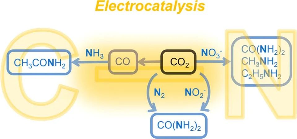 耶鲁王海梁JACS：电催化CO2还原中通过C-N偶联获得有机氮化合物
