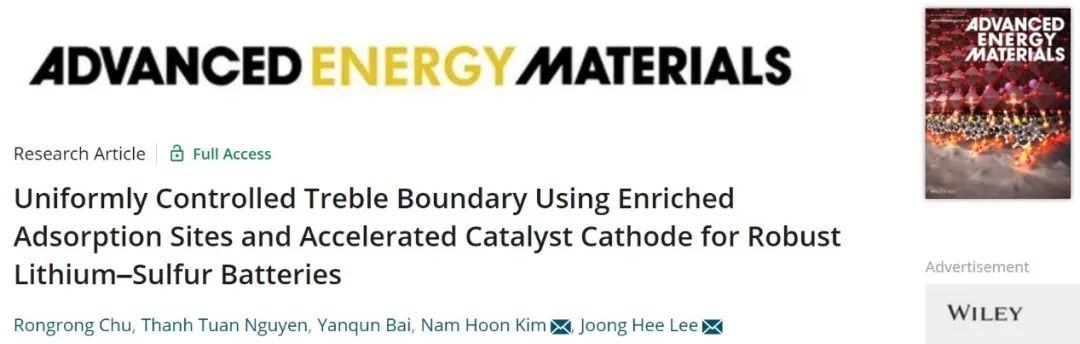 全北国立大学AEM：多功能异质结构实现高性能锂硫电池