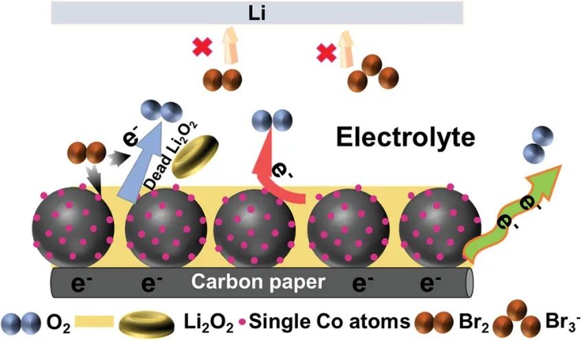中科大朱永春Small：SACs与氧化还原介质协同催化改善Li-O2电池性能