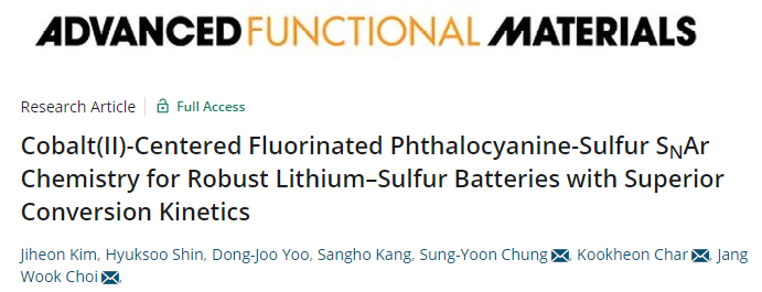AFM：以钴(II)为中心的氟化酞菁实现优异转换动力学的坚固锂硫电池