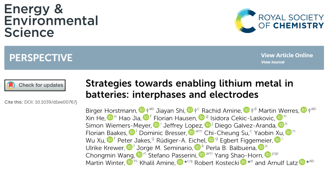 超豪华阵容！十余家顶级机构联合署名EES综述电池中使用锂金属的策略