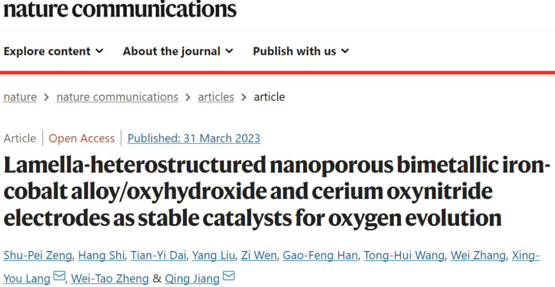 蒋青/郎兴友Nature子刊：FeCo/CeO2−xNx复合电极作为稳定的OER催化剂