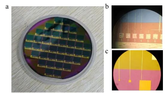 Nature子刊重磅！国内首款量子点红外成像芯片！