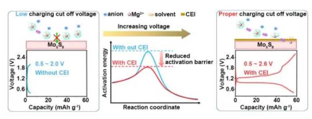 ​崔光磊Angew.：正极电解质中间相 (CEI) 使 Mo6S8 具有快速界面镁离子转移动力学