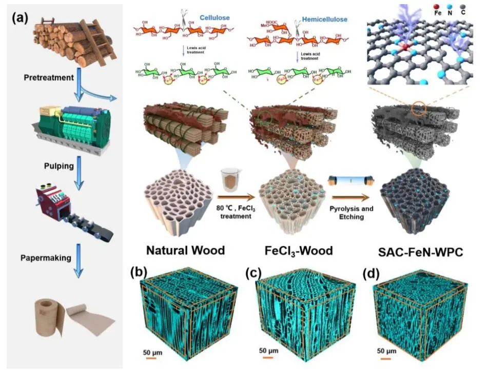ACS Energy Letters：木碳基单原子催化剂用于可充电锌-空气电池