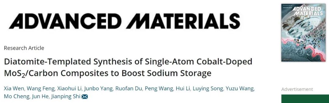 武汉大学史建平AM：硅藻土模板合成单原子钴掺杂MoS2/碳，实现高性能储钠