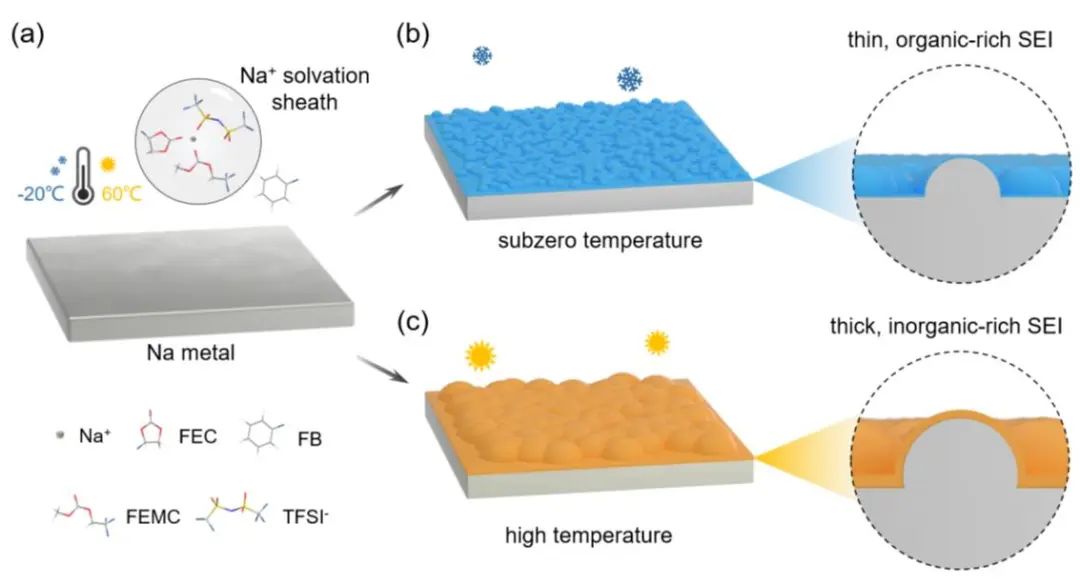 ​同济罗巍Nano Energy：温度响应型SEI，-20至60 ℃宽温钠金属电池！