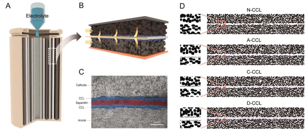 ACS Nano：洞察陶瓷涂层增强锂离子电池润湿性的机制