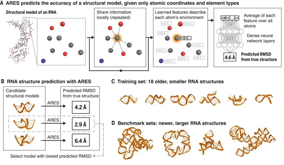 斯坦福大学Science：RNA结构的几何深度学习