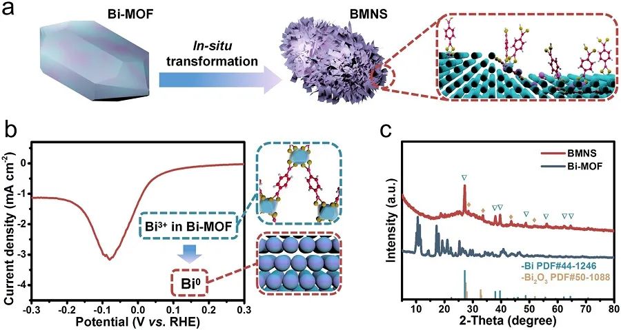 ​​​Appl. Catal. B.：原位形成配体稳定的Bi纳米片助力高效的CO2转化