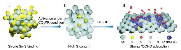 乔世璋​Nature子刊：电化学活化π-SnS催化剂，实现工业电流下酸性CO2-HCOOH电解