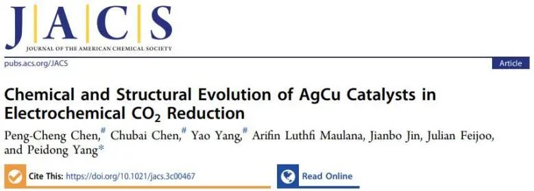 JACS：揭示电化学CO2RR过程中AgCu催化剂的化学和结构演变