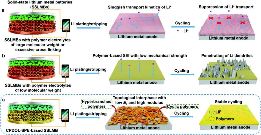 麦立强/徐林AEM：原位构建拓扑SEI层，助力固态锂金属电池500次循环！
