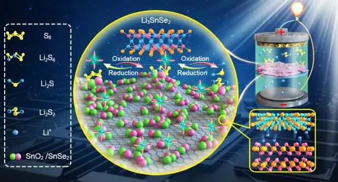 陈人杰/詹亮/王艳莉ACS Nano：双功能杂化物同时解决锂硫电池正负极挑战！