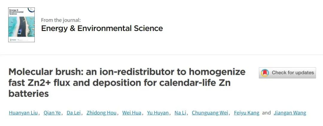 王建淦教授EES：用于均匀化日历寿命锌电池的快速 Zn2+ 通量和沉积的离子再分布器