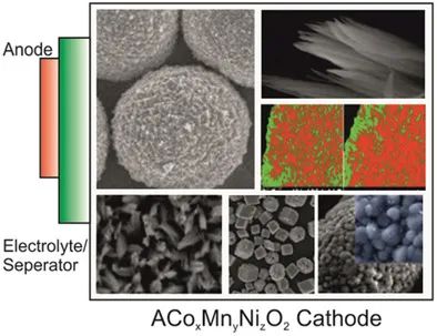AFM：ACoxMnyNizO2和金属氧化物作为金属离子电池通用正极材料