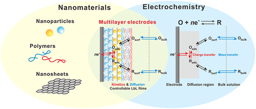 Acc. Chem. Res.顶级综述：逐层组装多层电极在电催化体系的独特行为！