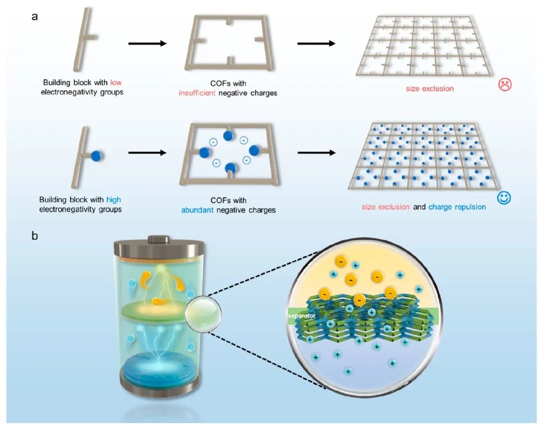 ​西工大谢科予ACS Nano：氟化COF膜助力锂硫电池的选择性离子迁移
