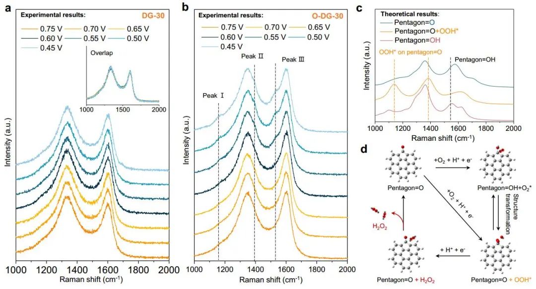计算顶刊成果速递：3篇Angew、2篇Nat. Commun.、JACS、AFM、Small等！