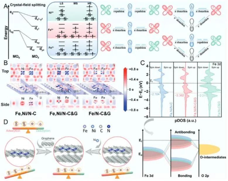 郭洪课题组AFM：推拉电子效应调控d-p轨道成键行为，显著增强ORR活性