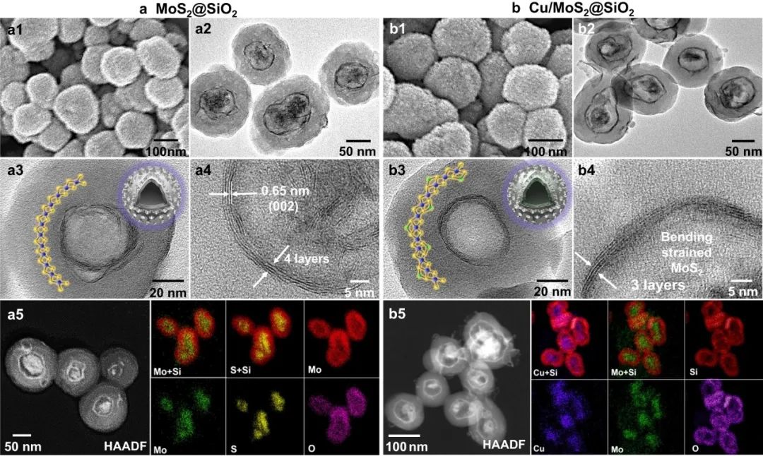 新加坡国立大学Nat. Commun.: 具有原子铜和硫空位的应变少层MoS2助力CO2加氢制甲醇
