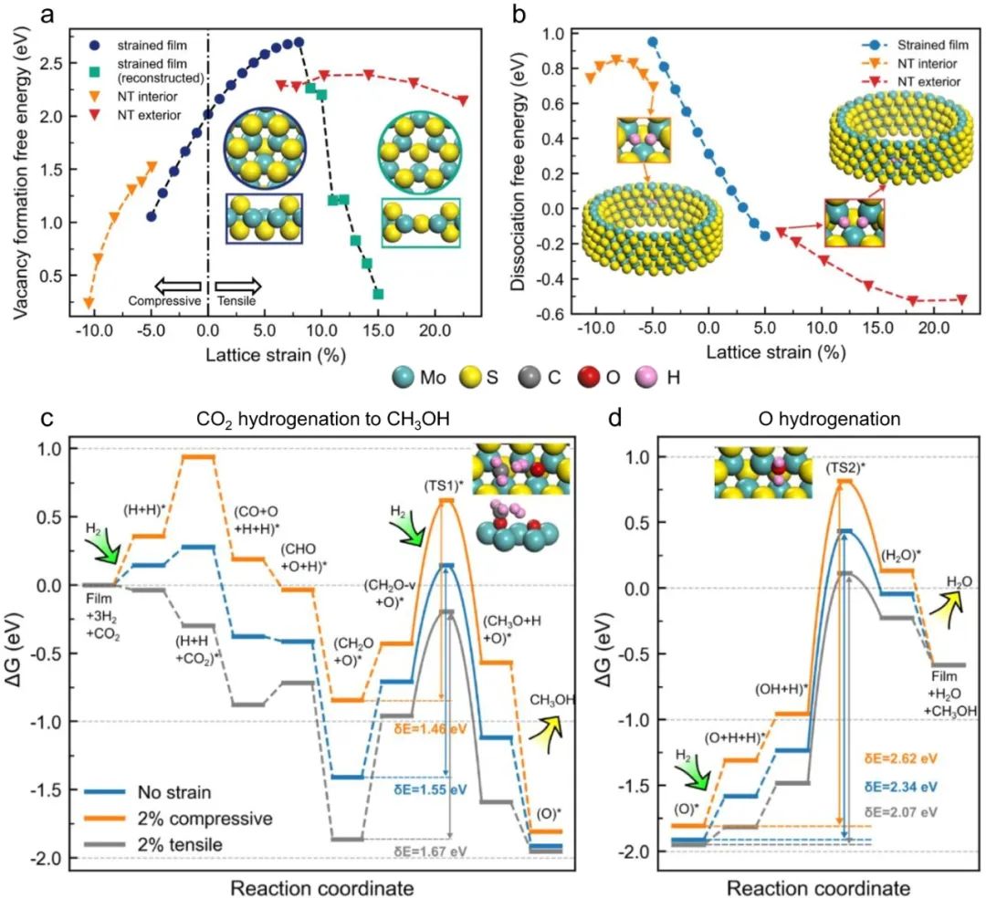 新加坡国立大学Nat. Commun.: 具有原子铜和硫空位的应变少层MoS2助力CO2加氢制甲醇