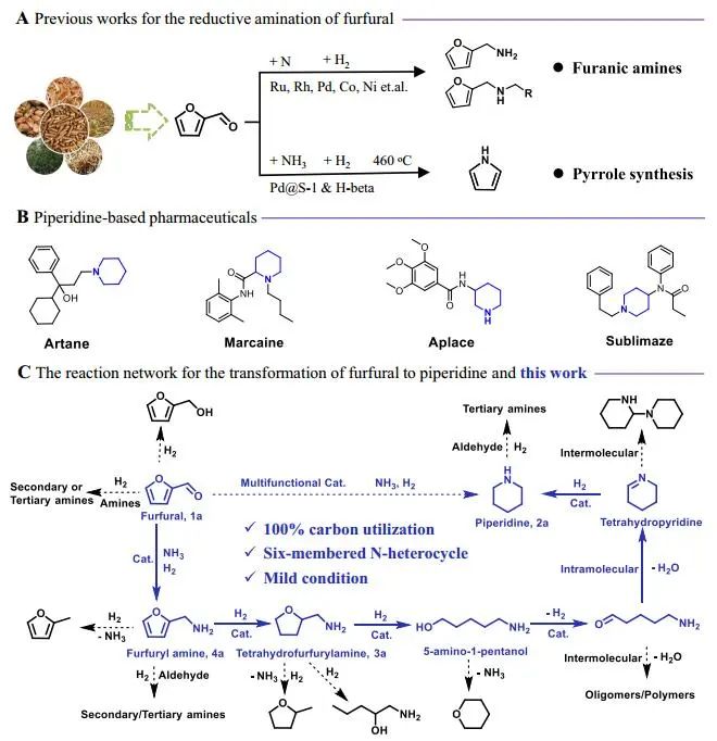 Nature子刊：Ru1CoNP/HAP SSAA催化糠醛合成哌啶和吡啶