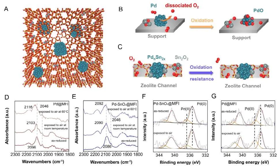 计算顶刊成果速递：3篇Angew、2篇Nat. Commun.、JACS、AFM、Small等！