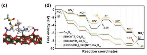 Angew.：Protic 离子液体立大功！对Co3O4−x改性以提高电化学硝酸盐合成氨性能