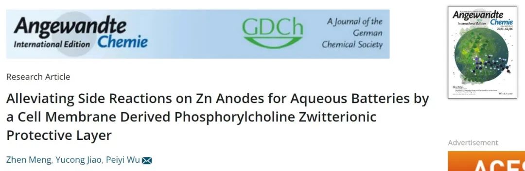 复旦武培怡Angew.：磷酰胆碱两性离子保护层减轻水系锌负极上的副反应