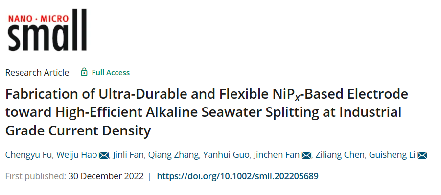 上海理工Small：用于碱性海水全水解的高效柔性NiPx基电极的制备