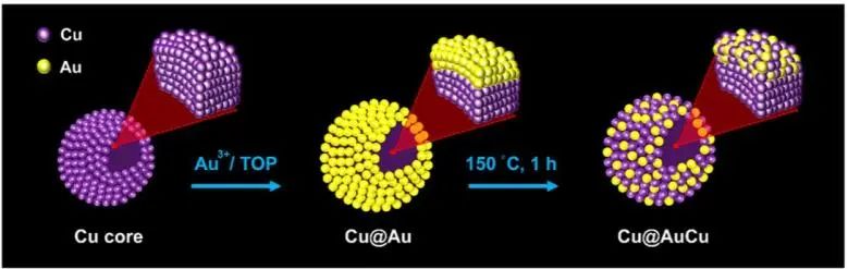 Nano Lett.: 纯金亦低头：高贵金属利用率的Cu@AuCu增强电催化CO2RR
