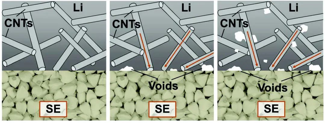 AEM：碳纳米管提高固态电池锂金属负极>20倍的无压剥离容量！