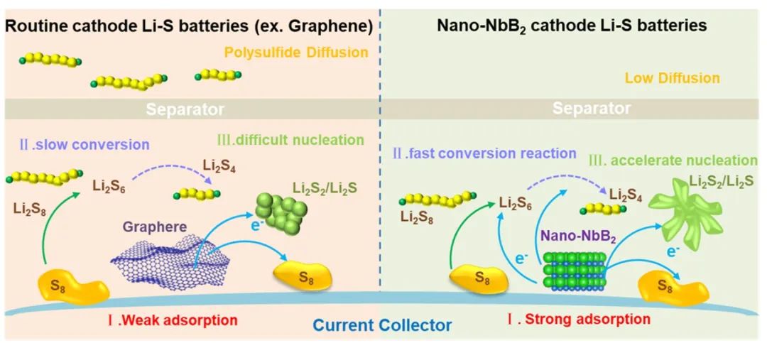 山大徐立强ACS Nano：硼化物催化主体助力锂硫电池10C循环1300次！